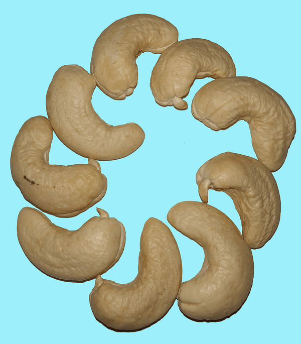 Vayalveli - Cashew Nuts - Image 4